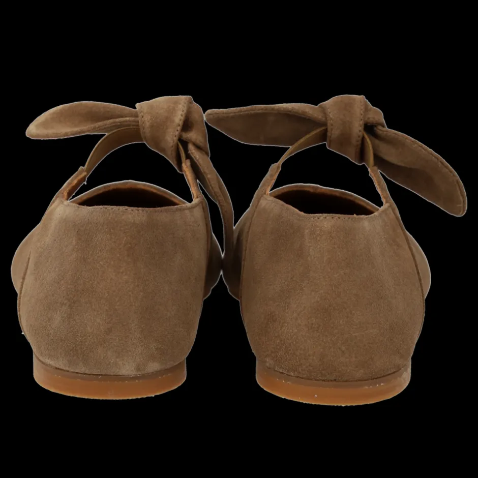Angulus 1696-101 Ballerinasko, , 42*Dame Ballerinaer