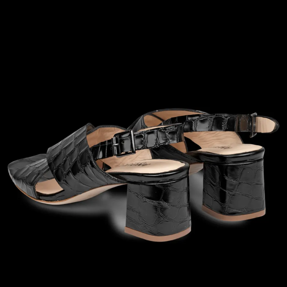 Best Angulus 5568-101 Sandal, , 38 Black Croco