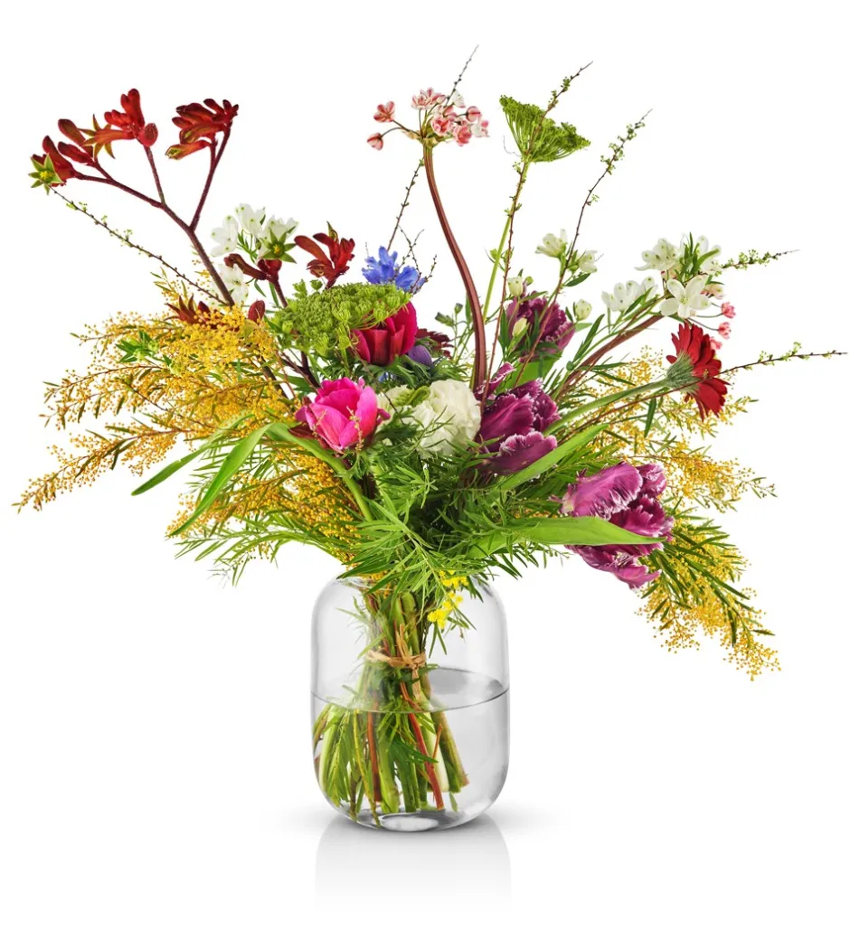 Online Eva Solo Acorn Vase, , 16,5 cm Klar