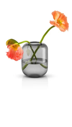 Eva Solo Acorn Vase, , 16,5 cm* Vaser & Urtepotteskjulere|Stue