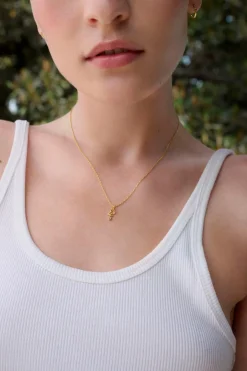 Maanesten Alfabet Vedhæng, Gold Plated - F