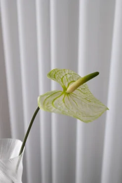 Best Bloom Objects Anthurium Kunstig Blomst, Green