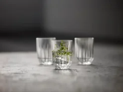 Best Lyngby Glas Astrid 6-pak Vandglas, , 25 cl Klar