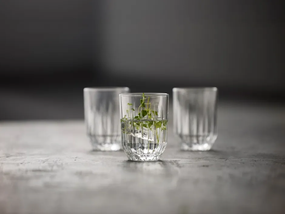Best Lyngby Glas Astrid 6-pak Vandglas, , 25 cl Klar
