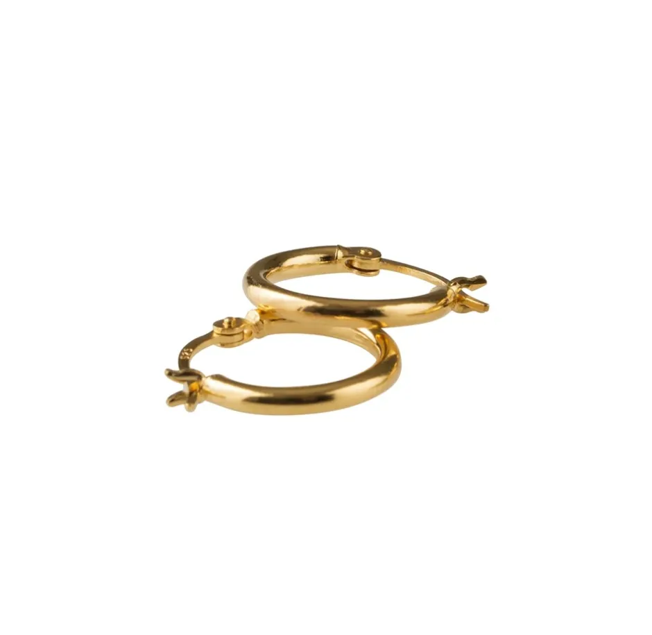 Pico Basic Small Hoops Øreringe,*Dame Øreringe