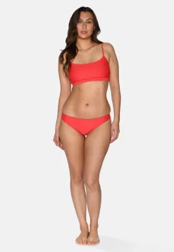 Online CCDK Bess Bikinitrusser, , XL Bittersweet