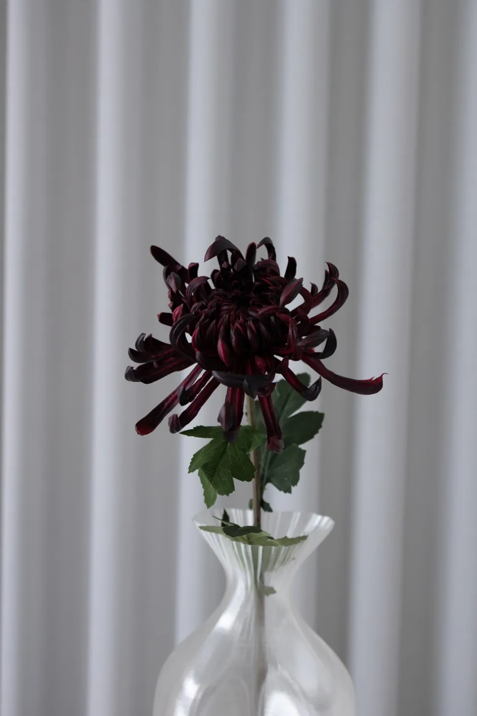 Bloom Objects Chrysanthemum Kunstig Blomst, Bordeaux