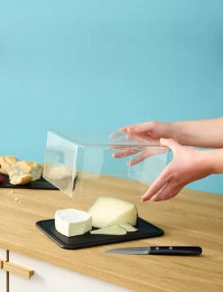 RIG-TIG by Stelton Contain-It Osteboks, Klar/Sort