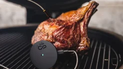 Online Witt CookPerfect Comfort Single Stegetermometer