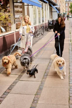 HAY Dog Flat Hundehalsbånd,* Udstyr Til Kæledyr