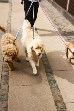 HAY Dog Flat Hundesnor,* Udstyr Til Kæledyr