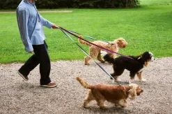 HAY Dog Flat Hundesnor,* Udstyr Til Kæledyr