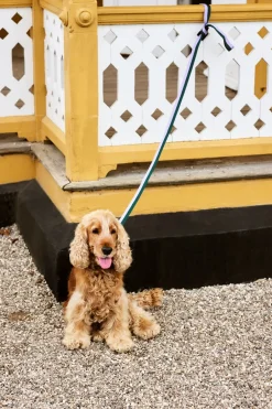 HAY Dog Flat Hundesnor,* Udstyr Til Kæledyr