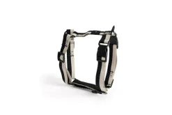 Best HAY Dog Hundesele, Black/White