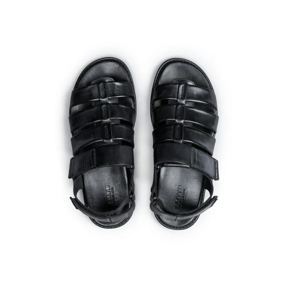 Hot Lloyd Emory Sandaler, , 42 Black