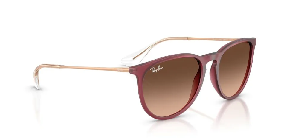 Ray Ban Erika Classic Solbriller,*Dame Solbriller|Solbriller