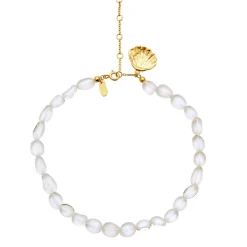 Hot Maanesten Fortuna Ankelkæde, , 23+5 cm Gold Plated