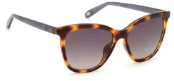 Clearance Fossil FOS 2115/G/S Solbriller, Havana