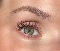 Hot Sandstone Grand Danois Mascara, Black Sort