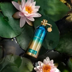 Montale Herbal Aquatica Eau De Parfum, 100 ml* Nicheparfumer