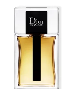 Hot Dior Homme Eau De Toilette, 100 ml