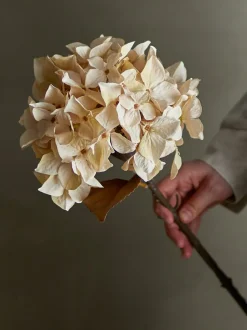 Bloomingville Hydrangea Kunstig Stilk,* Kunstige Blomster