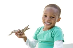 Outlet Schleich Krokodille