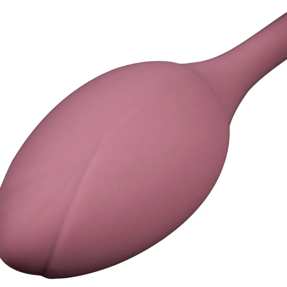 Amaysin Licking Rose og Vibrerende Æg* Sexlegetøj