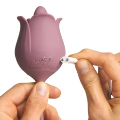 Amaysin Licking Rose og Vibrerende Æg* Sexlegetøj