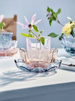 Online Holmegaard Lily 2-pak Asiet, , Ø16 cm Blå Iris