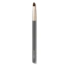New Jane Iredale Lip Brush