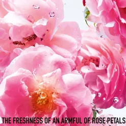 Dior Miss Rose N'Roses, 100 ml* Dufte