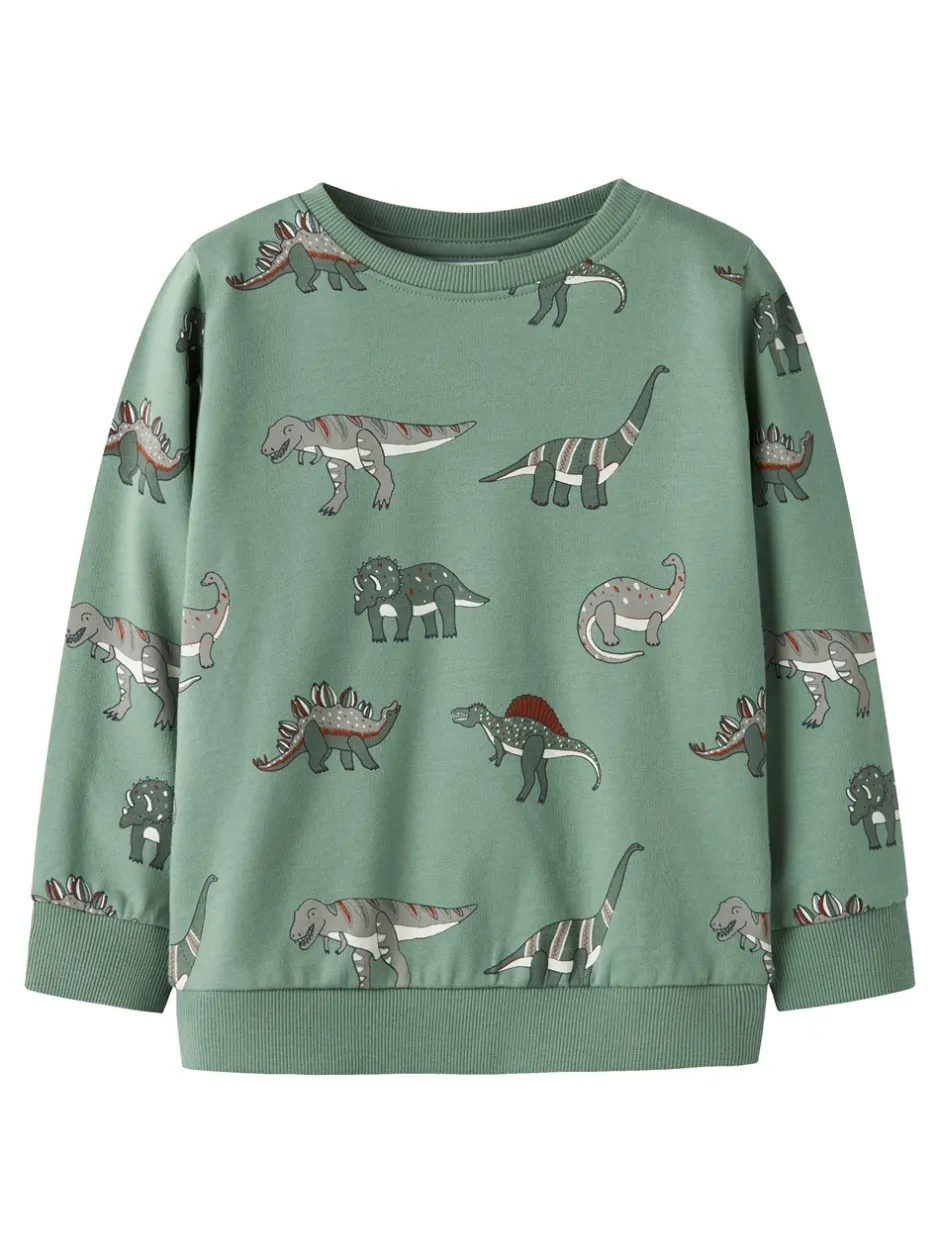 Name It Nenean Sweatshirt, , 104 cm*Børn Strik & Sweatshirts