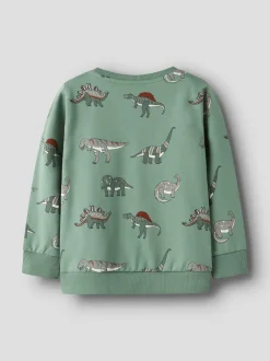 Name It Nenean Sweatshirt, , 104 cm*Børn Strik & Sweatshirts