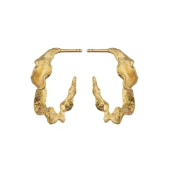 Maanesten Nino Øreringe, Guld