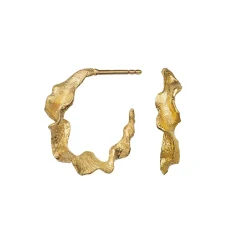 Maanesten Nino Øreringe, Guld