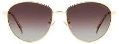 Clearance Polaroid PLD 4171/G/S/X Solbriller, Gold/brown
