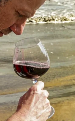 Online Endeavour Red Sand 4-pak Rødvinsglas, , 58 cl Klar