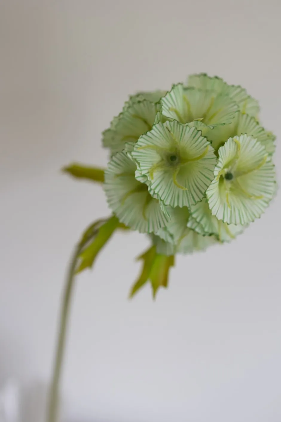 Hot Bloom Objects Scabiosa Kunstig Blomst, Green