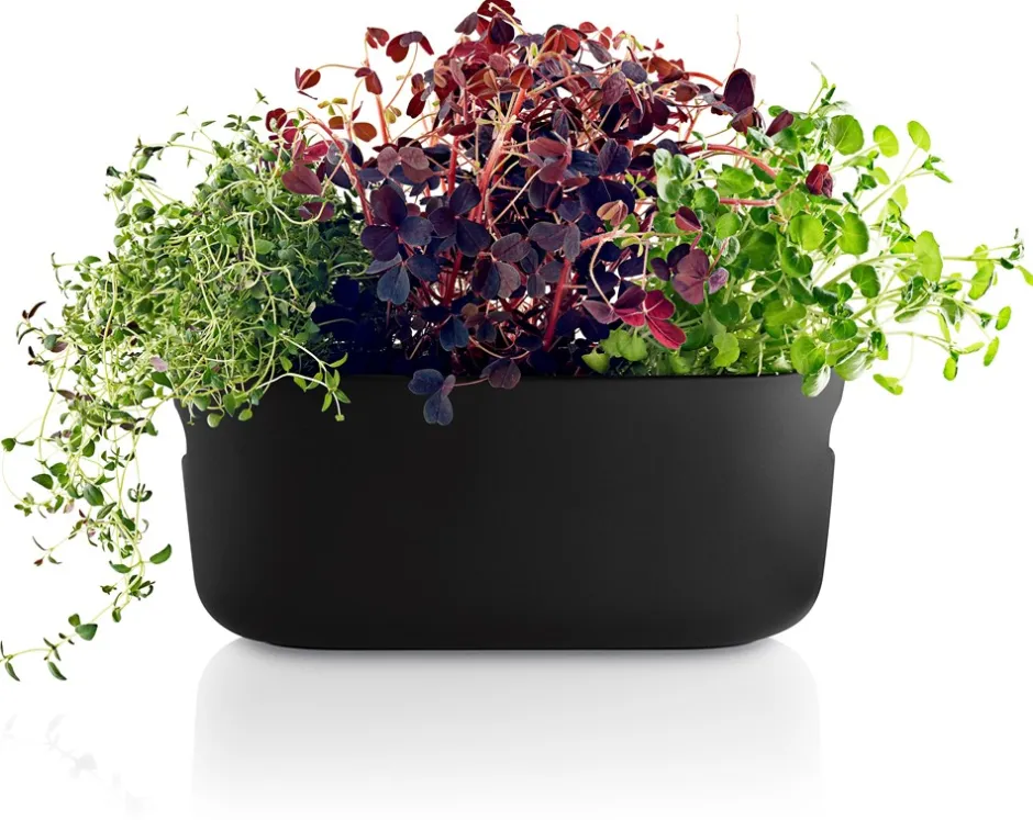 Outlet Eva Solo Selvvandende Herb Organiser, Sort