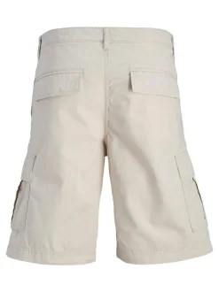 Online Jack&Jones Tcole Mateo Cargo Shorts, , XL Moonbeam