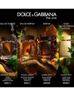 Dolce & Gabbana The One Pour Homme Parfum, 50 ml* Eau De Parfum