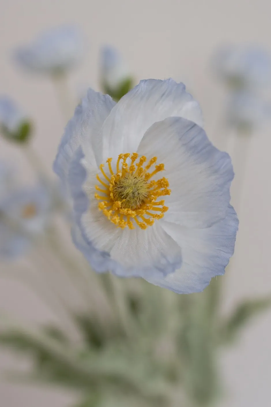 Bloom Objects Valmue Kunstig Blomst,* Kunstige Blomster