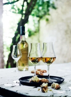 Luigi Bormioli Vinoteque Spirits 2-pak Rom- Eller Whiskeyglas, , 17 cl* Glas
