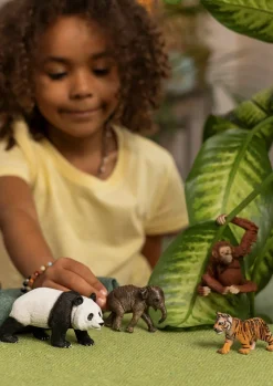 Schleich Wild Life Asia Startsæt