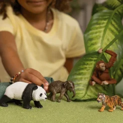 Schleich Wild Life Asia Startsæt