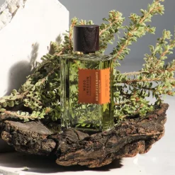 Best Goldfield & Banks Wood Infusion Perfume, 100 ml